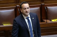 Varadkar accused of throwing former NAGP president ‘under the bus'