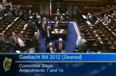 Video: Opposition parties walkout of Dáil over Gaeltacht Bill
