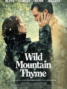 Heinous crimes against Irish accents? Here's what we know so far about new movie Wild Mountain Thyme