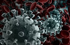 High-level taskforce created to oversee Covid-19 vaccine roll out in Ireland