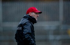 Mickey Harte takes on role as Louth manager