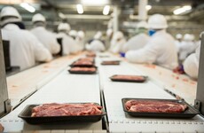 Workers in high-risk environments like meat factories could be one of the first groups to get the vaccine