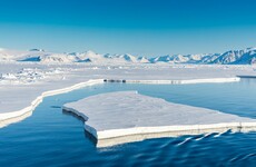 The Arctic endured one of its hottest years in 2020, study finds