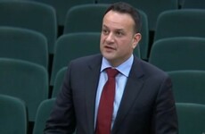 Student nurses motion was 'party politics' designed to make the 'government look bad', says Varadkar