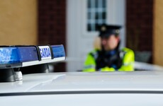 Gardaí seize €360k worth of cannabis and shotgun in Sligo and Leitrim searches
