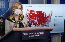 White House virus expert who was criticised over Thanksgiving trip to retire