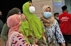 Indonesian plane feared to have crashed into sea after losing contact