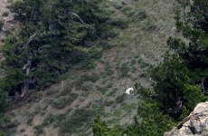 Mystery solved: the Utah 'Goat Man' reveals himself