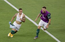 Palmeiras beat Santos 1-0 in Copa Libertadores final