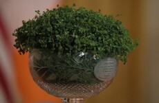 Virtual St Patrick's Day shamrock ceremony to take place between Taoiseach and US President
