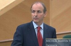 Taoiseach tells TDs barbers and hairdressers will be 'prioritised' in May easing - but no firm decisions made