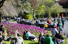 Another 'outdoor summer': Here's when to expect this week's Covid re-opening decisions