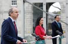 Taoiseach highlights difficulties in domestic use of the ‘green cert’ or vaccine bonus to access services