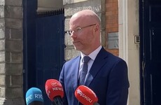 Health Minister says Professor Philip Nolan's tweet comparing antigen tests to snake oil was 'not helpful'