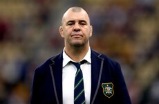 Former Australia head coach Cheika lands new role at Japanese club