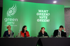 Greens discuss councillors' call to support Occupied Territories Bill as Coveney says Ireland will continue to speak up
