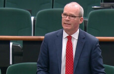 Coveney says Israel’s actions amount to a 'de facto annexation' but Hamas violence must also be condemned in SF motion