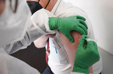 'Unreasonable' to ask fully vaccinated people to wait for Green Cert to become operational, says transport minister