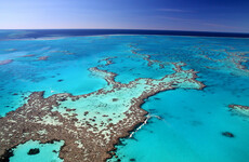 Australia says it will oppose UN plan to list Great Barrier Reef as being 'in danger'