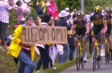Spectator who caused giant Tour de France crash to be sued by organisers