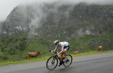 Champion Pogacar seizes lead as Tour enters Alps