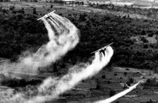 Agent Orange clean-up launched in Vietnam decades after war ends