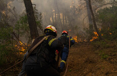 Firefighters battle blazes on Greek island of Evia for seventh consecutive day