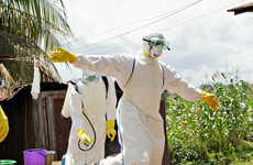 Explainer: Here's what you need to know about the Ebola-like Marburg virus