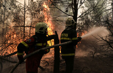 Almost 100,000 hectares of forest burned in Greece in less than two weeks