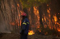 Greek megafires highlight failure to prepare, experts say