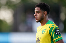 4 days after full Ireland debut, promising teen Omobamidele handed first Premier League chance