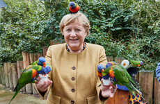 Merkel makes final push for successor in Germany's knife-edge polls