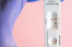 State could buy 500,000 antigen tests per week as Govt told rapid testing may play 'important role'