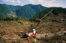 COP26: World leaders sign up to multibillion-dollar pledge to end deforestation by 2030