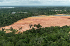 Deforestation of Brazil's Amazon up 22% in a year, highest level in 15 years