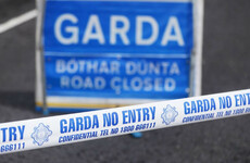 Gardaí renew appeal for witnesses to fatal collision in Co Kilkenny