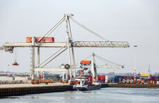 Cocaine worth €127 million hidden in shipments of bananas and cocoa beans seized in Rotterdam