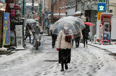 Rare snow in Tokyo forces over one hundred domestic flight cancellations