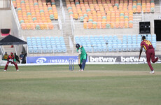 Ireland defy Covid setbacks with gutsy display against West Indies
