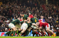World champions South Africa to host Wales in July