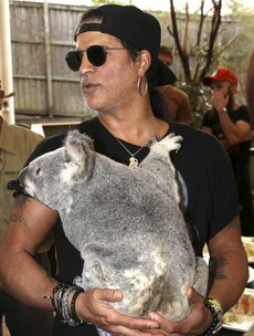 Slash, the Python and Tinkerbell the Koala – a true story