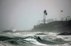 Sea level projected to rise by up to a foot on US coasts by 2050, study finds