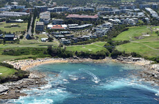 Swimmer dies in Sydney's first fatal shark attack in 60 years