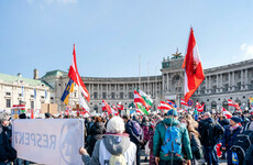 Austria suspends law making Covid vaccines mandatory for all adults