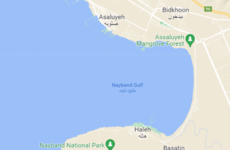 UAE cargo ship with 30 crew members sinks off Iran