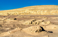 36-million-year-old whale fossil unveiled after being found in Peruvian desert
