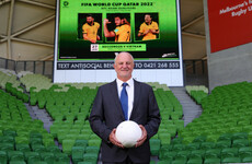Football Australia fine Socceroos coach over dog-walking Covid-19 breach