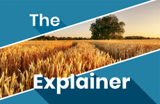 The Explainer: How secure is Ireland’s food supply?
