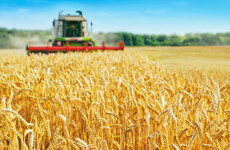 Helping Ukraine harvest their wheat crop will help mitigate food challenges ahead, says OECD Sec Gen
