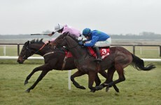 Fairyhouse cleared for racing after inspection